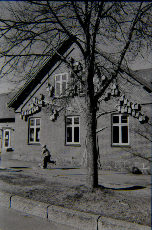 Foto 1
